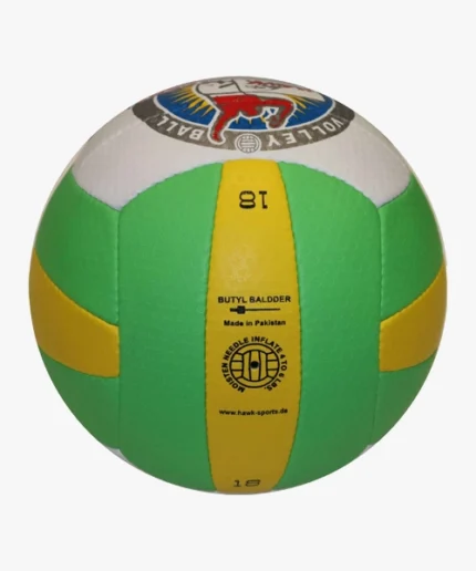 three-colors-masters-volleyball
