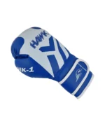 blue-kids-boxing-gloves